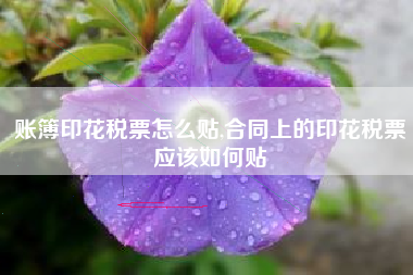 账簿印花税票怎么贴,合同上的印花税票应该如何贴