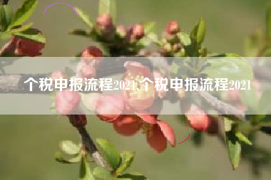 个税申报流程2021,个税申报流程2021