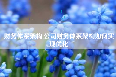 财务体系架构,公司财务体系架构如何实现优化