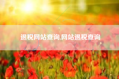 退税网站查询,网站退税查询