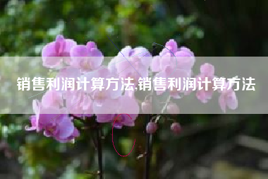 销售利润计算方法,销售利润计算方法