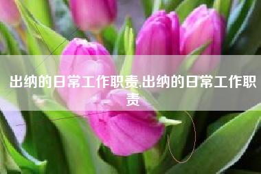 出纳的日常工作职责,出纳的日常工作职责
