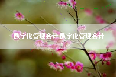 数字化管理会计,数字化管理会计