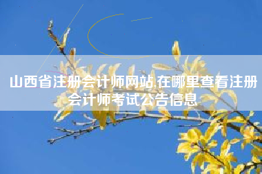 山西省注册会计师网站,在哪里查看注册会计师考试公告信息