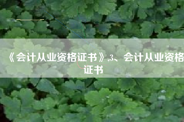 《会计从业资格证书》,3、会计从业资格证书