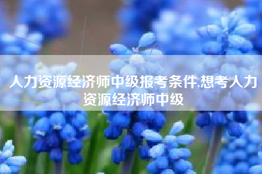 人力资源经济师中级报考条件,想考人力资源经济师中级