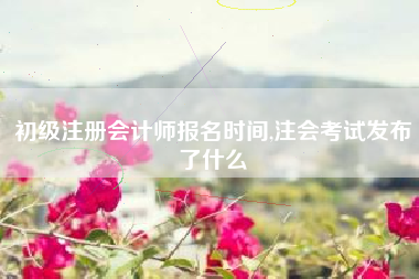 初级注册会计师报名时间,注会考试发布了什么