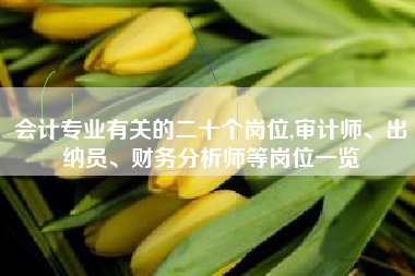 会计专业有关的二十个岗位,审计师、出纳员、财务分析师等岗位一览