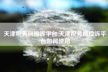 天津税务局投诉平台,天津税务局投诉平台如何使用