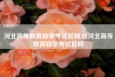 河北高等教育自学考试官网,在河北高等教育自学考试官网
