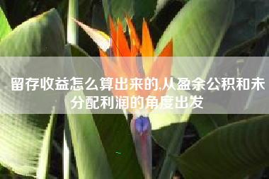留存收益怎么算出来的,从盈余公积和未分配利润的角度出发
