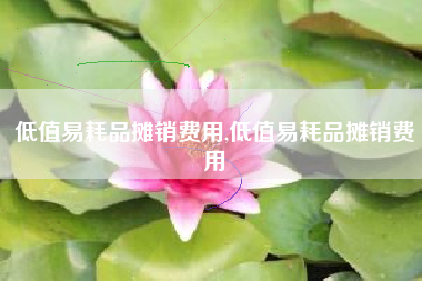 低值易耗品摊销费用,低值易耗品摊销费用