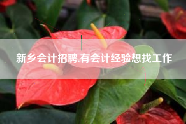 新乡会计招聘,有会计经验想找工作