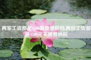 两家工资都是4500需要缴税吗,两份工资都是4500元不需要纳税