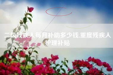 二级残疾人每月补助多少钱,重度残疾人护理补贴