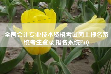 全国会计专业技术资格考试网上报名系统考生登录,报名系统FAQ