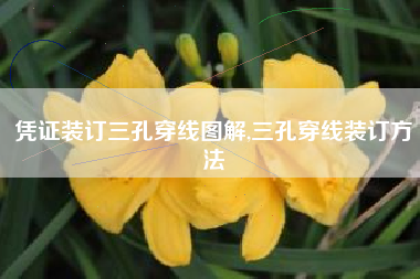 凭证装订三孔穿线图解,三孔穿线装订方法