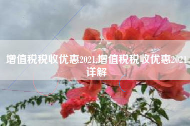 增值税税收优惠2021,增值税税收优惠2021详解