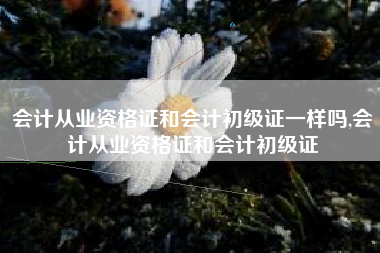 会计从业资格证和会计初级证一样吗,会计从业资格证和会计初级证