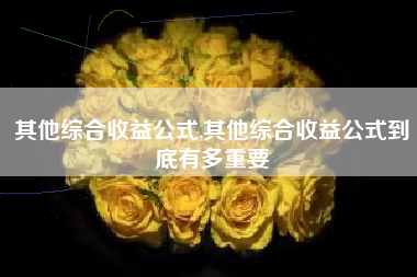 其他综合收益公式,其他综合收益公式到底有多重要