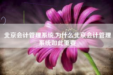 北京会计管理系统,为什么北京会计管理系统如此重要