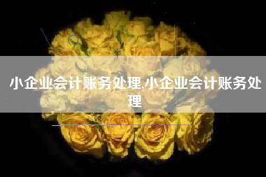 小企业会计账务处理,小企业会计账务处理