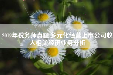 2019年税务师真题,多元化经营上市公司收入相关经济业务分析