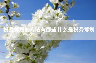 税务筹划的方法有哪些,什么是税务筹划