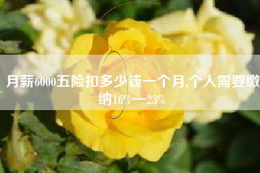 月薪6000五险扣多少钱一个月,个人需要缴纳16%—23%