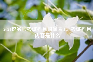 2021税务师考试科目时间表,1、考试科目内容是什么