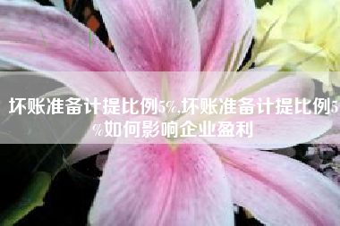 坏账准备计提比例5%,坏账准备计提比例5%如何影响企业盈利
