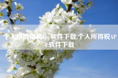 个人所得得税app软件下载,个人所得税APP软件下载