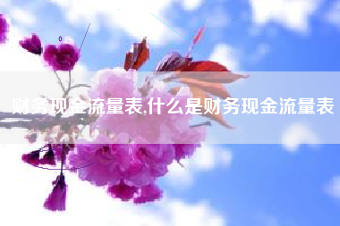 财务现金流量表,什么是财务现金流量表