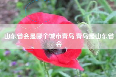 山东省会是哪个城市青岛,青岛是山东省会