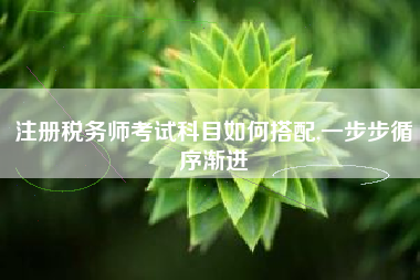 注册税务师考试科目如何搭配,一步步循序渐进