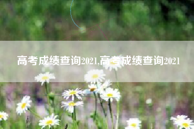 高考成绩查询2021,高考成绩查询2021