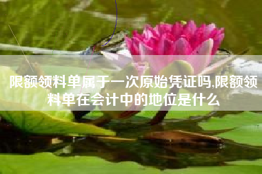 限额领料单属于一次原始凭证吗,限额领料单在会计中的地位是什么