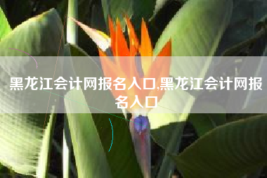 黑龙江会计网报名入口,黑龙江会计网报名入口