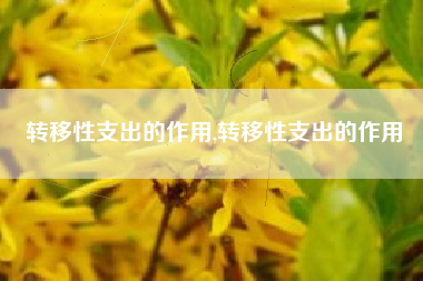 转移性支出的作用,转移性支出的作用