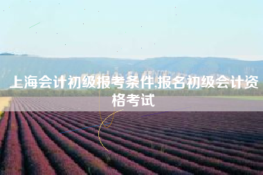 上海会计初级报考条件,报名初级会计资格考试