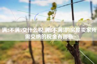 满2不满5交什么税,满2不满5的房屋卖家所需交纳的税金有哪些