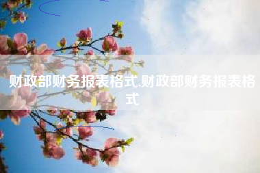财政部财务报表格式,财政部财务报表格式