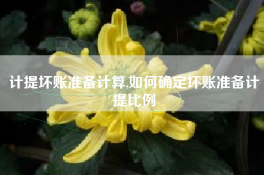 计提坏账准备计算,如何确定坏账准备计提比例