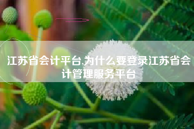 江苏省会计平台,为什么要登录江苏省会计管理服务平台