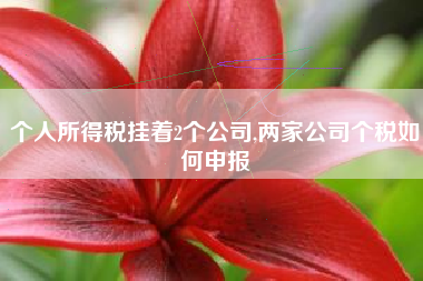 个人所得税挂着2个公司,两家公司个税如何申报