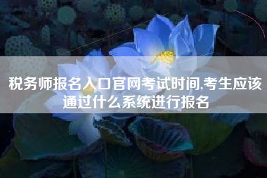 税务师报名入口官网考试时间,考生应该通过什么系统进行报名