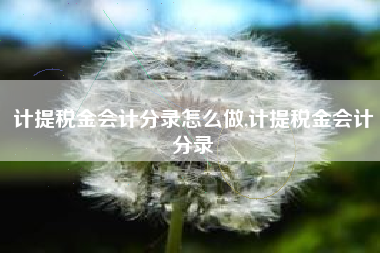 计提税金会计分录怎么做,计提税金会计分录