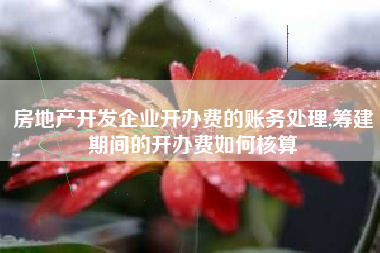 房地产开发企业开办费的账务处理,筹建期间的开办费如何核算