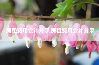 房租费用会计分录,房租费用会计分录