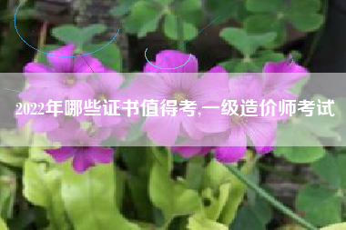 2022年哪些证书值得考,一级造价师考试